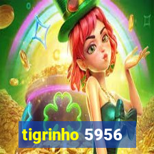 tigrinho 5956